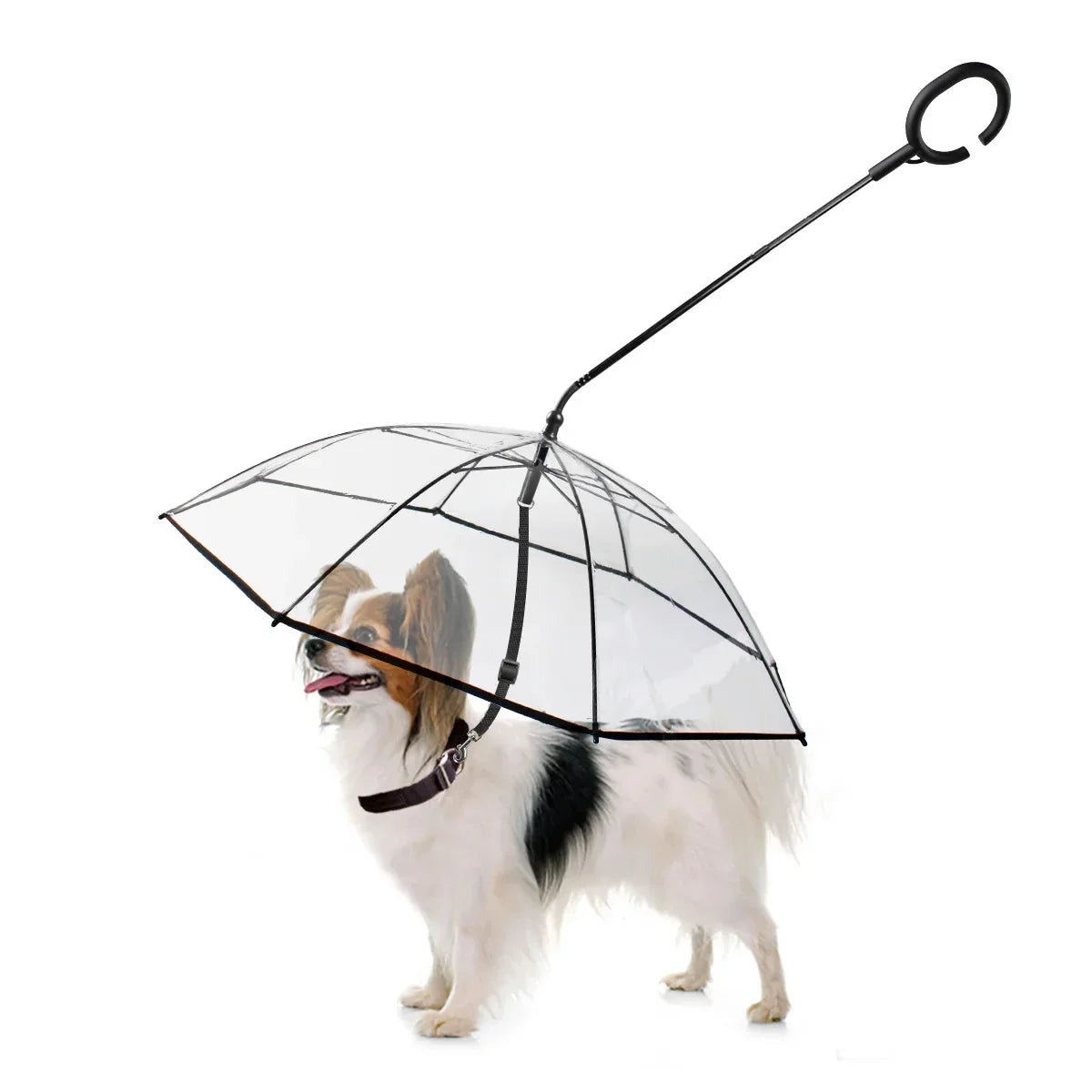 Pawsy Dog Umbrella – Rain Protection for Dogs